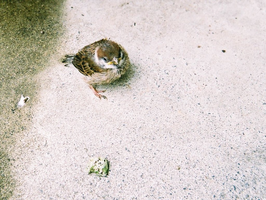 孤独