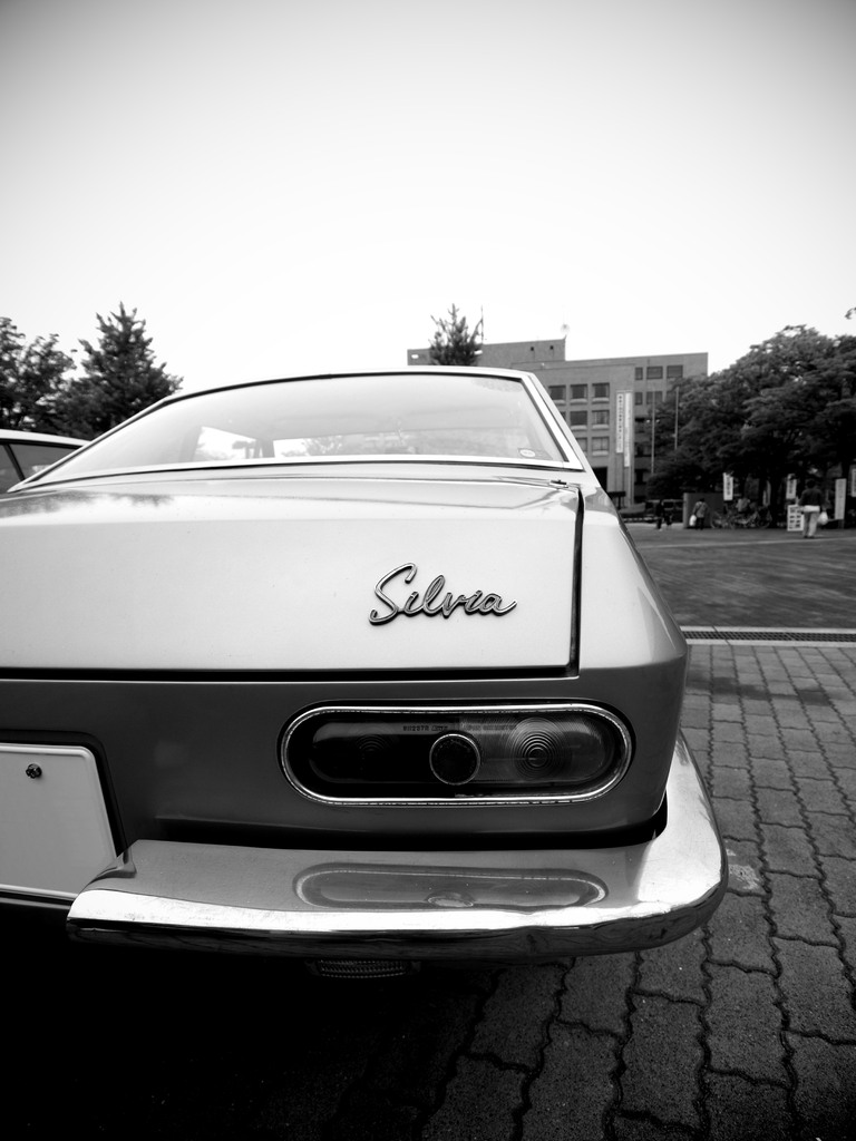 Silvia