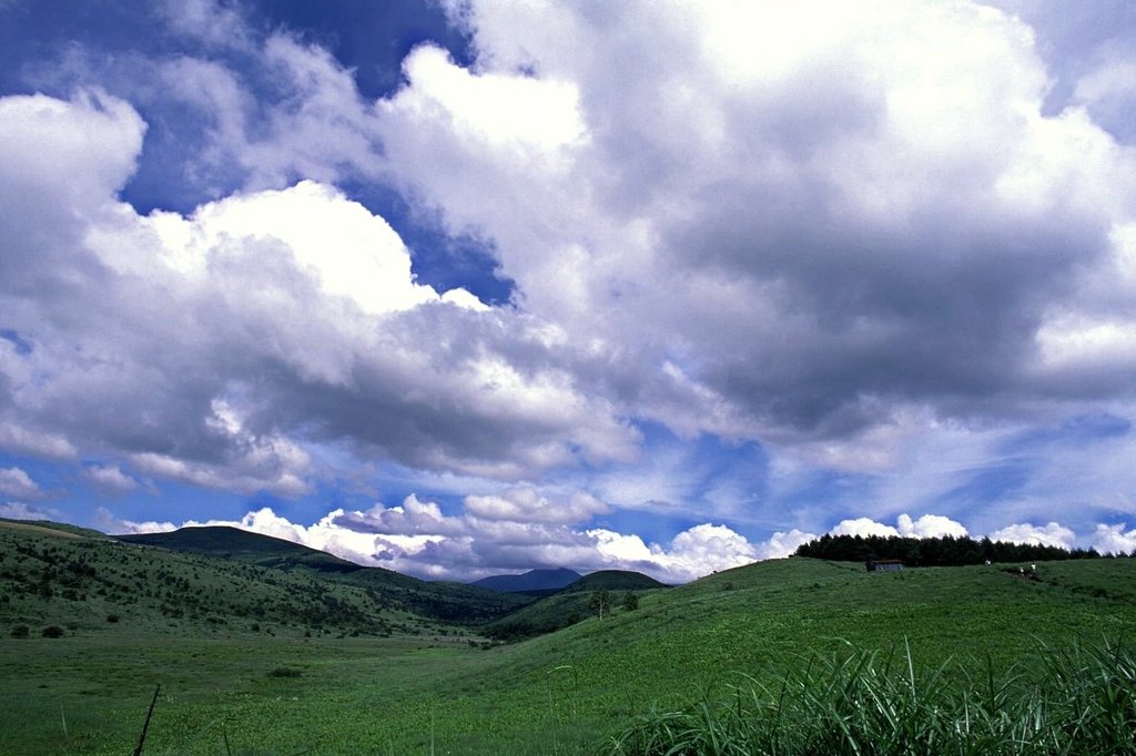 夏雲