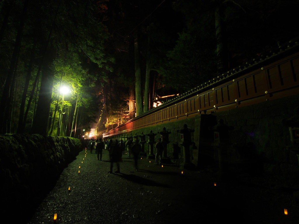 特別な日光の夜　２