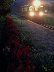 サルビアの駅