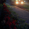 サルビアの駅