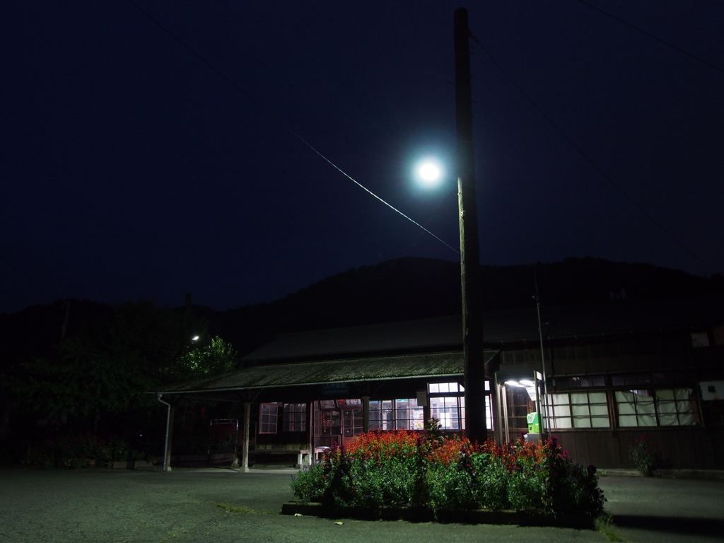 サルビアの咲く駅