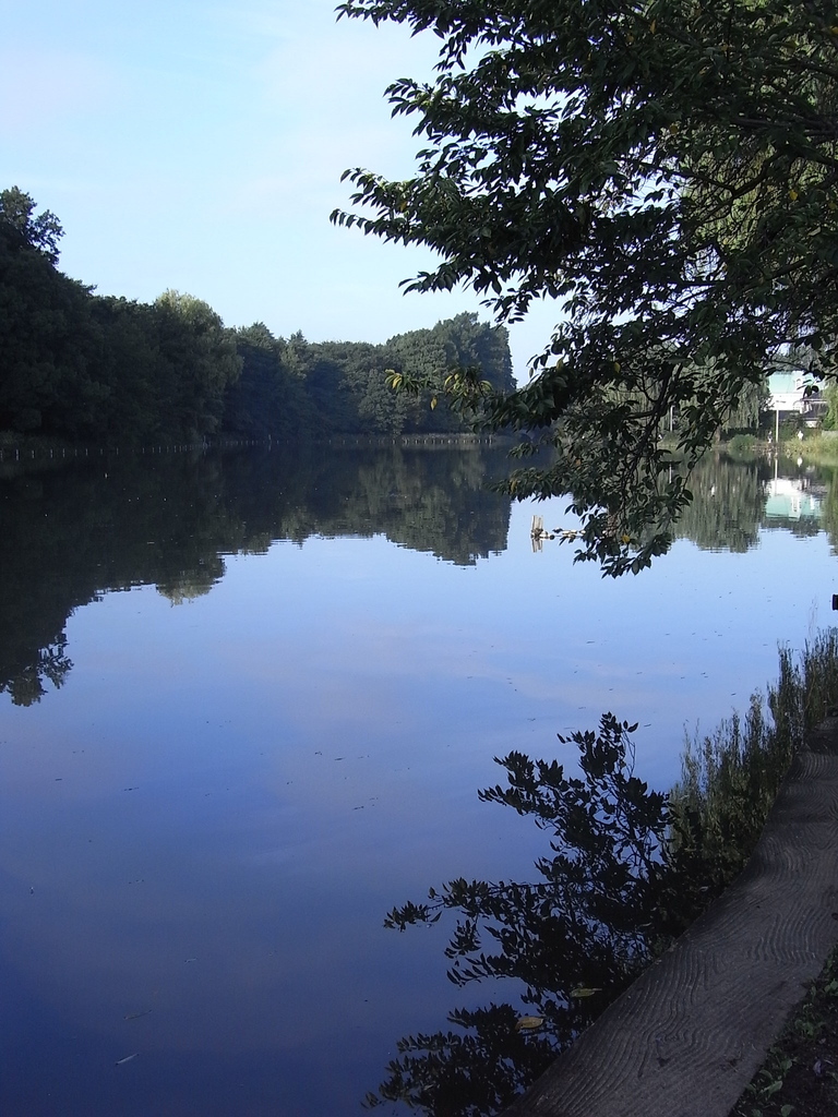 石神井公園