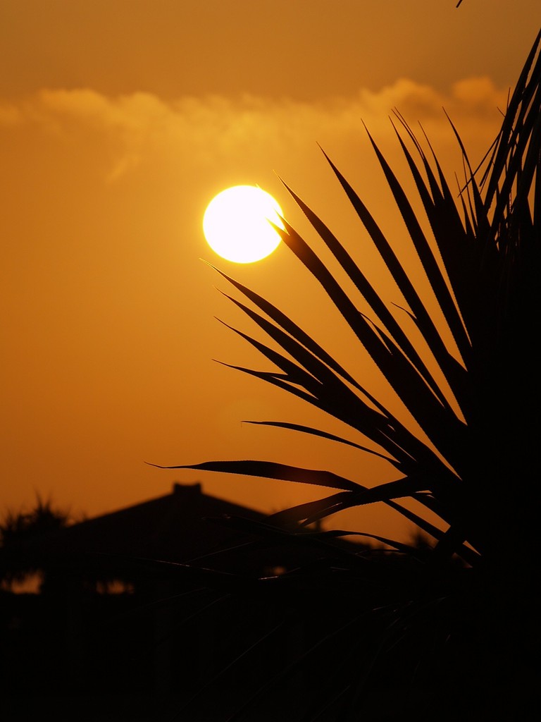 夕日