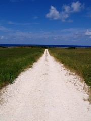 伊江島