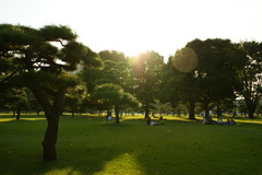 日比谷公園_皇居外苑_20081004_345