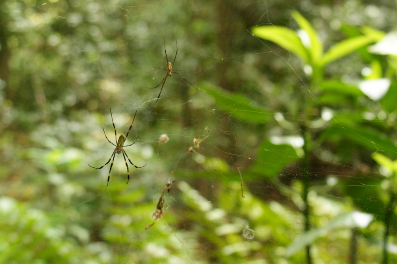 小石川後楽園_20080927_104