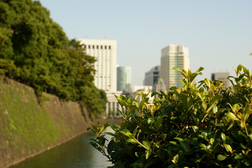 日比谷公園_皇居外苑_20081004_286