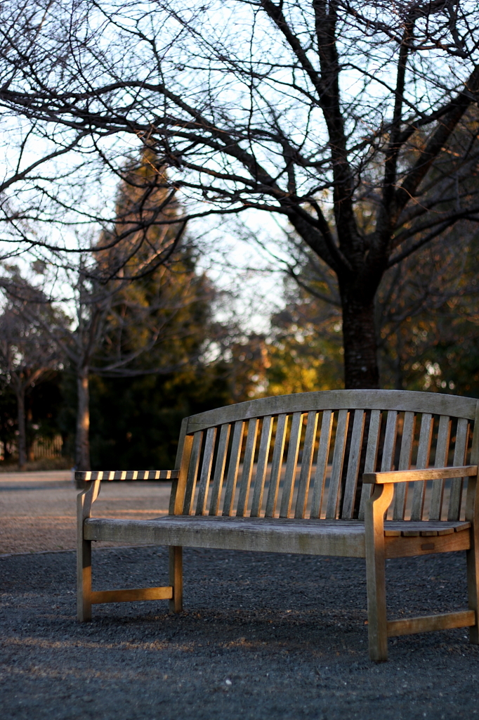 冬の夕暮れ～そして誰もいなくなった・・・