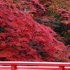 香嵐渓～2010～
