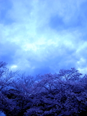 雨の予感