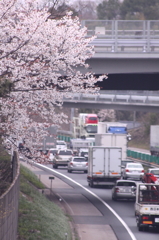 渋滞