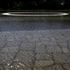 EOS 50D100514_0872
