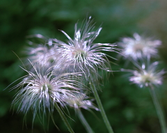 ｌｉｋｅ　ａ　ｆｉｒｅｗｏｒｋｓ
