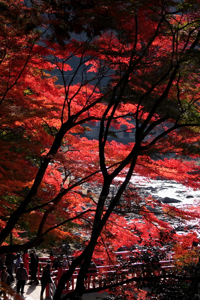 香嵐渓～2010～