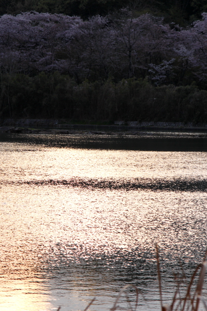 帰り道