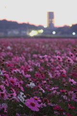 091108_EOS 50D1530