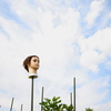 気持ちいい空