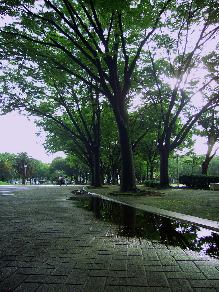 雨上がり
