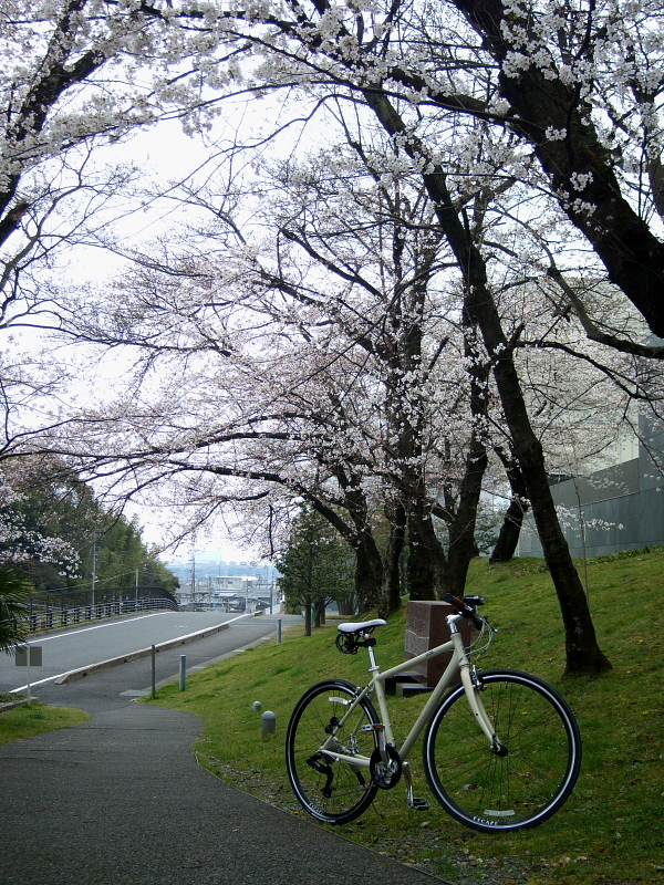 相棒
