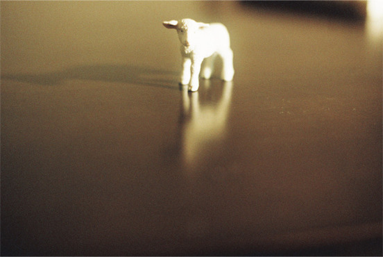 UNTITLED