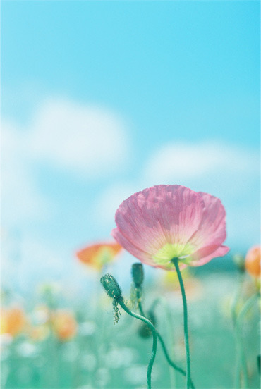 UNTITLED