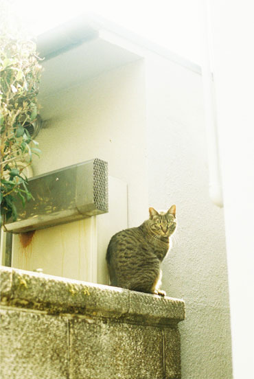 UNTITLED