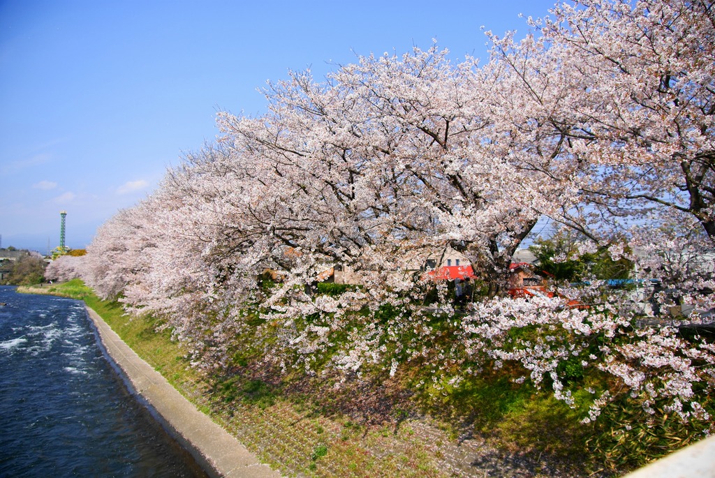 富士市龍厳淵