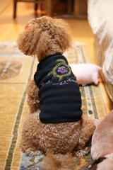 どう？この服♪