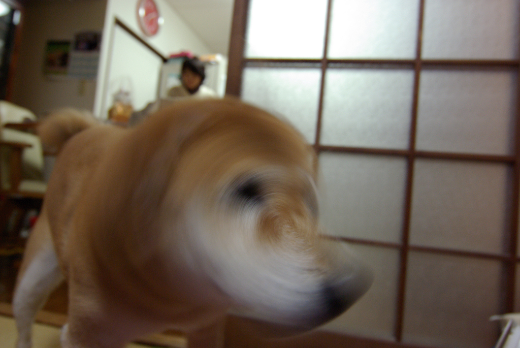 渦