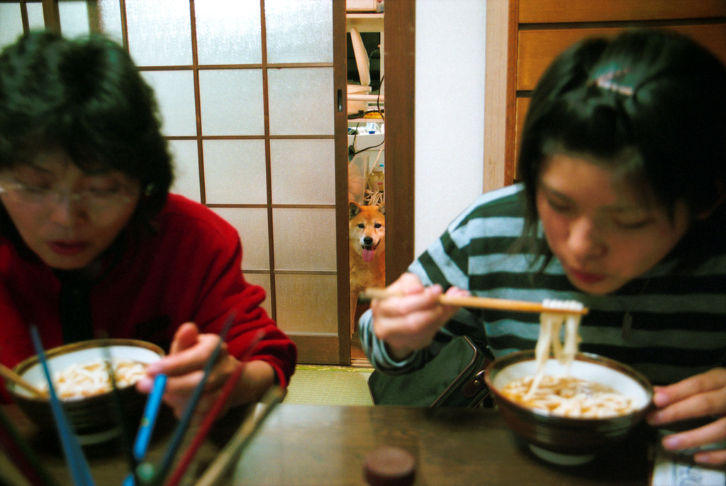 うどんが欲しい・・・