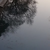 R0010227