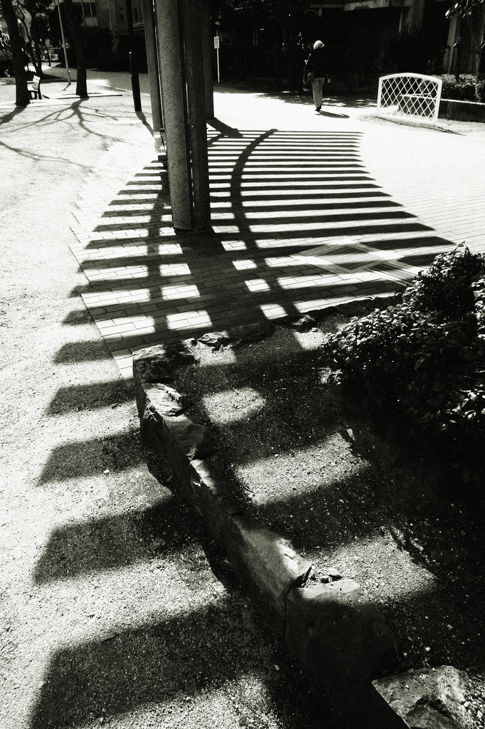 Rail