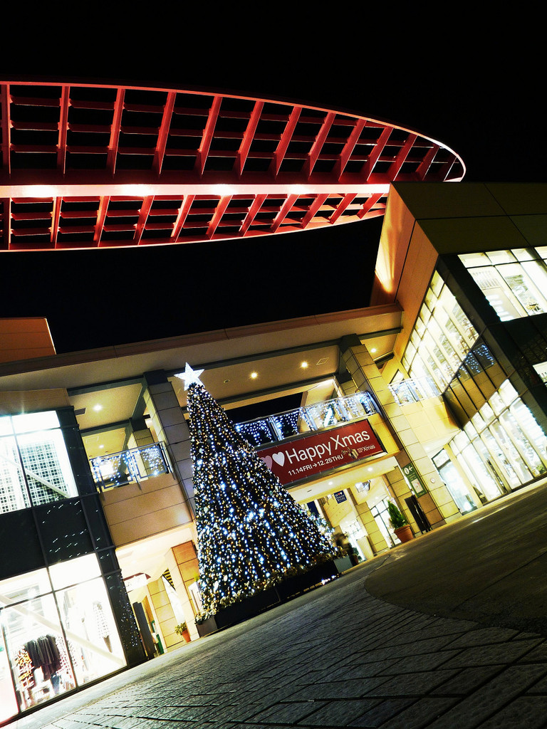 Xmas-roof