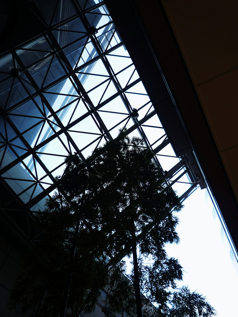 Glass-roof