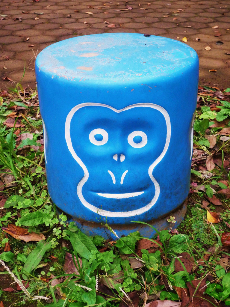 Pale-monkey