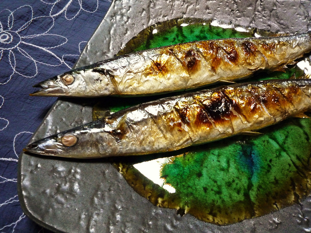 Saury