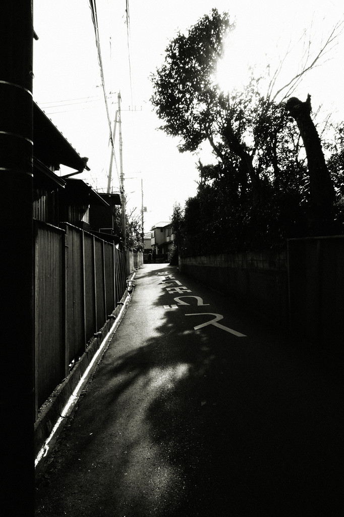 Alley