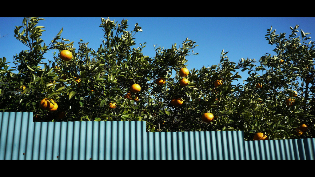 Orange