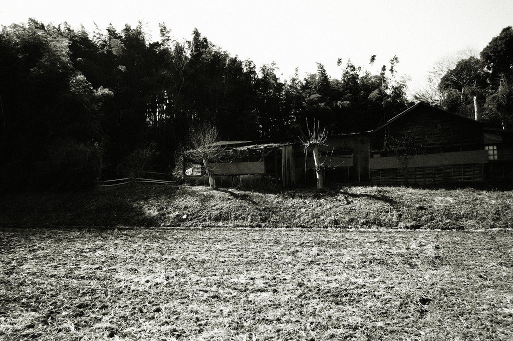 Ruin
