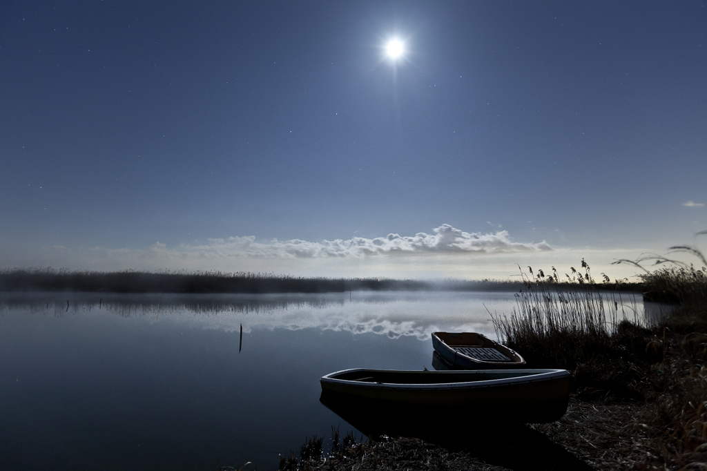 Moonlight Serenade