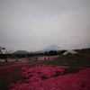 芝桜と富士と富士子とお客