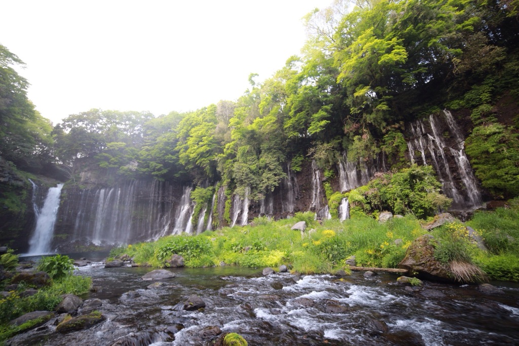 無修正白糸の滝！