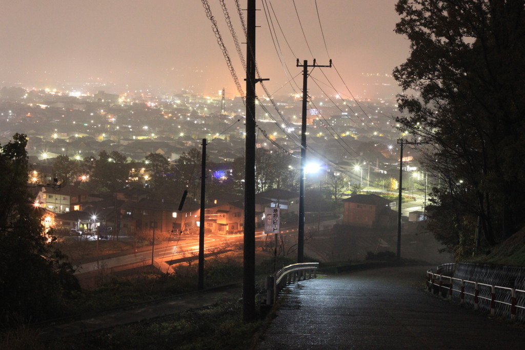 雨は嫌いだが悪くない