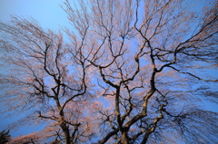 魔王の威厳