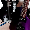 黒い四弦と紫の六弦