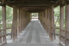 初夏　東福寺
