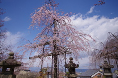 春　清水