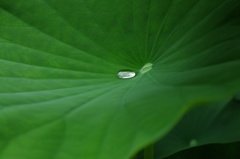 一雫